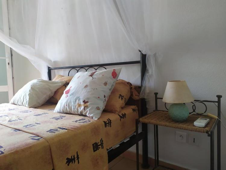 Gourbeyre Charmant Appartement En Bord De Mer Avec Piscine מראה חיצוני תמונה